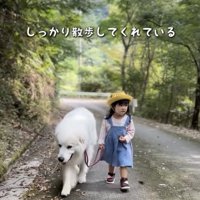 足取りしっかり