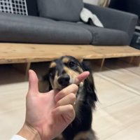 遊んでもらえなくて怒る紬ちゃん4