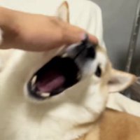 もう大丈夫だよ！！