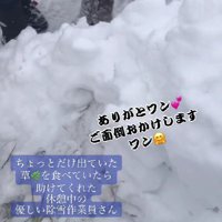 シャベルで本格的に捜索