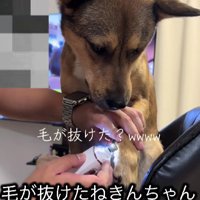 「嫌なのに……」