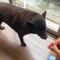 興奮しすぎて泣かれてしまいました…