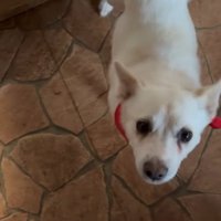 トライアル決定！