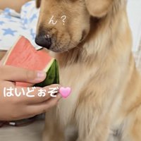 「どうするんだっけ！？」