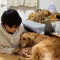 隙間から出てきたら…
