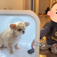 おもちゃをプレゼント♪