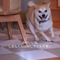 はじけるような笑顔！