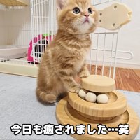 優しい家族に出会えてよかった♡