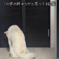 肩を落として猫背に…