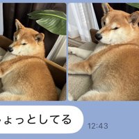 もしょっとしてる