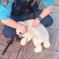 「触って〜」