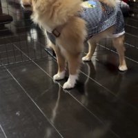 玄関のチャイムが鳴ると…