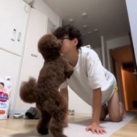 一緒に遊ぶ男性と犬2