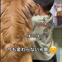 仲良しな後ろ姿にほっこり