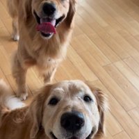 大好物のじゃがいもが♡