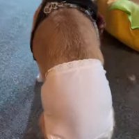 想像以上のジャストフィット