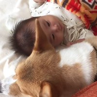 いつもそばに寄り添っていた