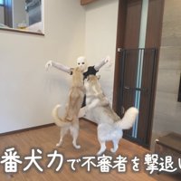 不審者を撃退してる！？