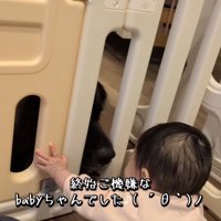 ご機嫌な赤ちゃん