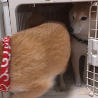 自分のハウスへ移動
