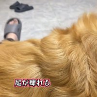 足がしびれたママ