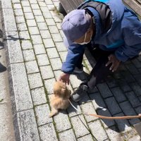 迷うことなく一直線