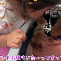 気になって仕方ない…