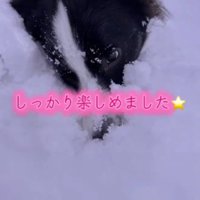 たくさん遊べたよ！！