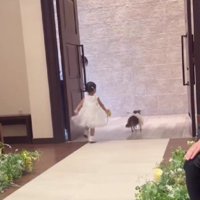 すぐに退散！？