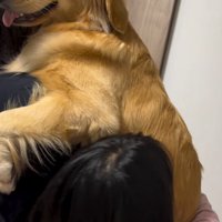 大型犬を抱っこする女性の腰を抱きしめる女の子