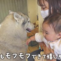赤ちゃんも懐いています♡