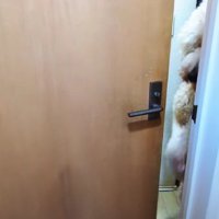 一度去って再び来訪