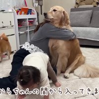 「よいしょ、よいしょ…」