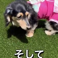 自力で排泄できるように！