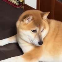 迷惑そう（笑）