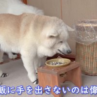 アイスちゃんと並んで遅い朝食