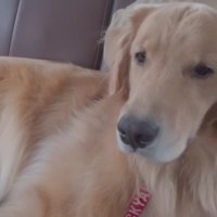 帰りの車内でも…