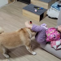 面倒見のいいわらびちゃん