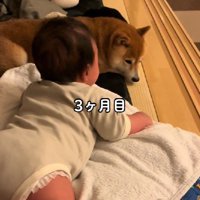 一緒に遊ぼうとする赤ちゃん