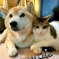 麦太郎くんと銀可くん