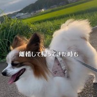 そらちゃんを迎えてからの日々5