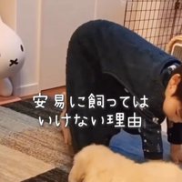 エルくんと男の子3