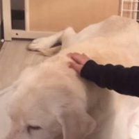 男の子の手