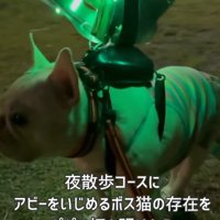 ご主人が用意したのは…