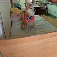 なかなかかみ合わない…