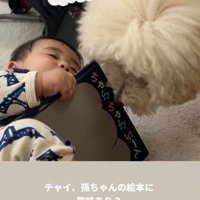 孫を預かった時のチャイちゃん6