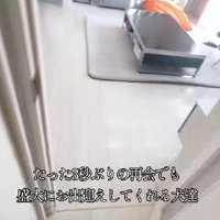 3秒後、開けてみると…