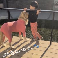 ウッドデッキで並んで立つ男の子と犬