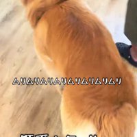 ついに順番が到来
