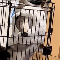 生後6ヶ月でこの風格！